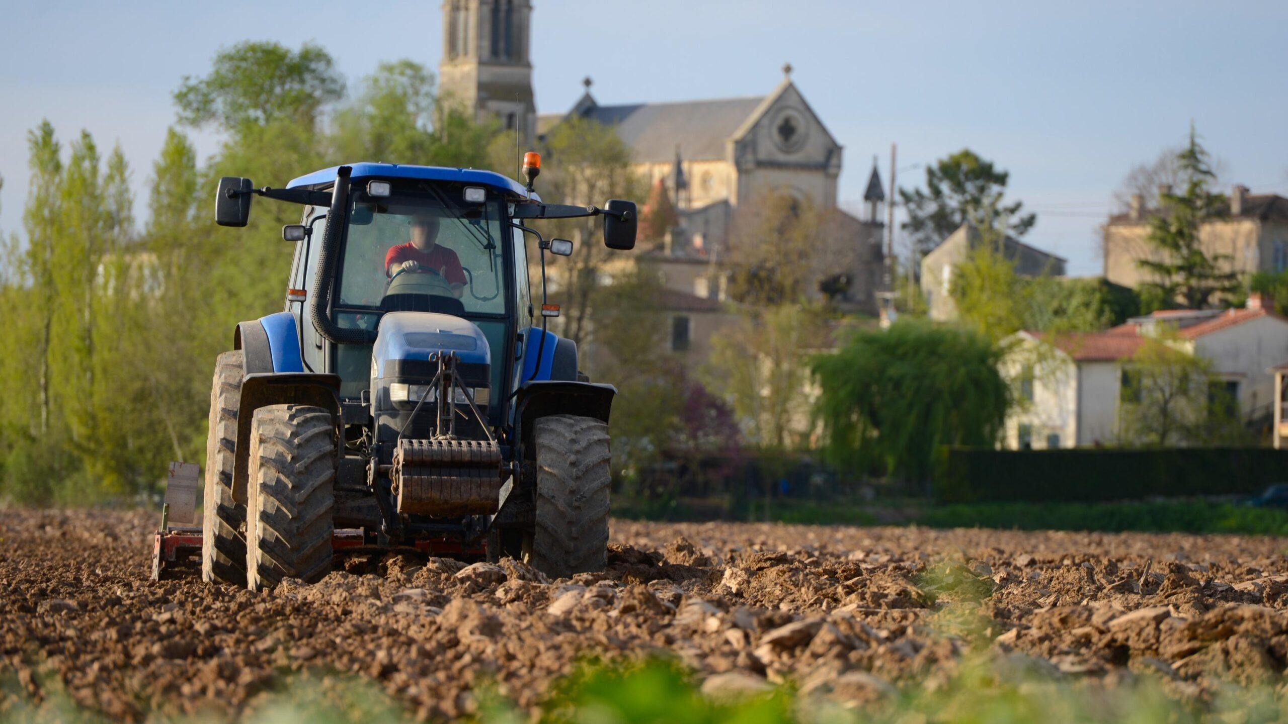 French agriculture, Salon de l'agriculture, Agribusiness, French identity, Paris farm show