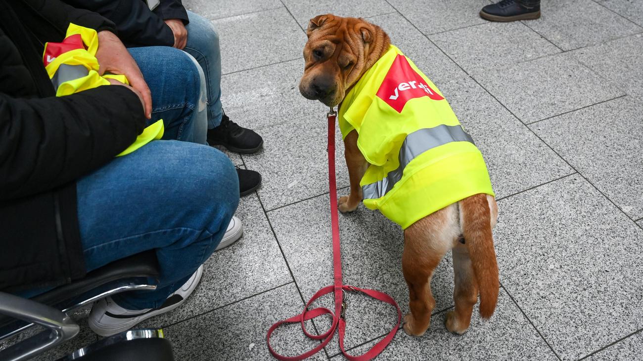 Cologne Airport, Dusseldorf Airport, ver.di, warning strike, public sector, airline, travel, transportation, Germany