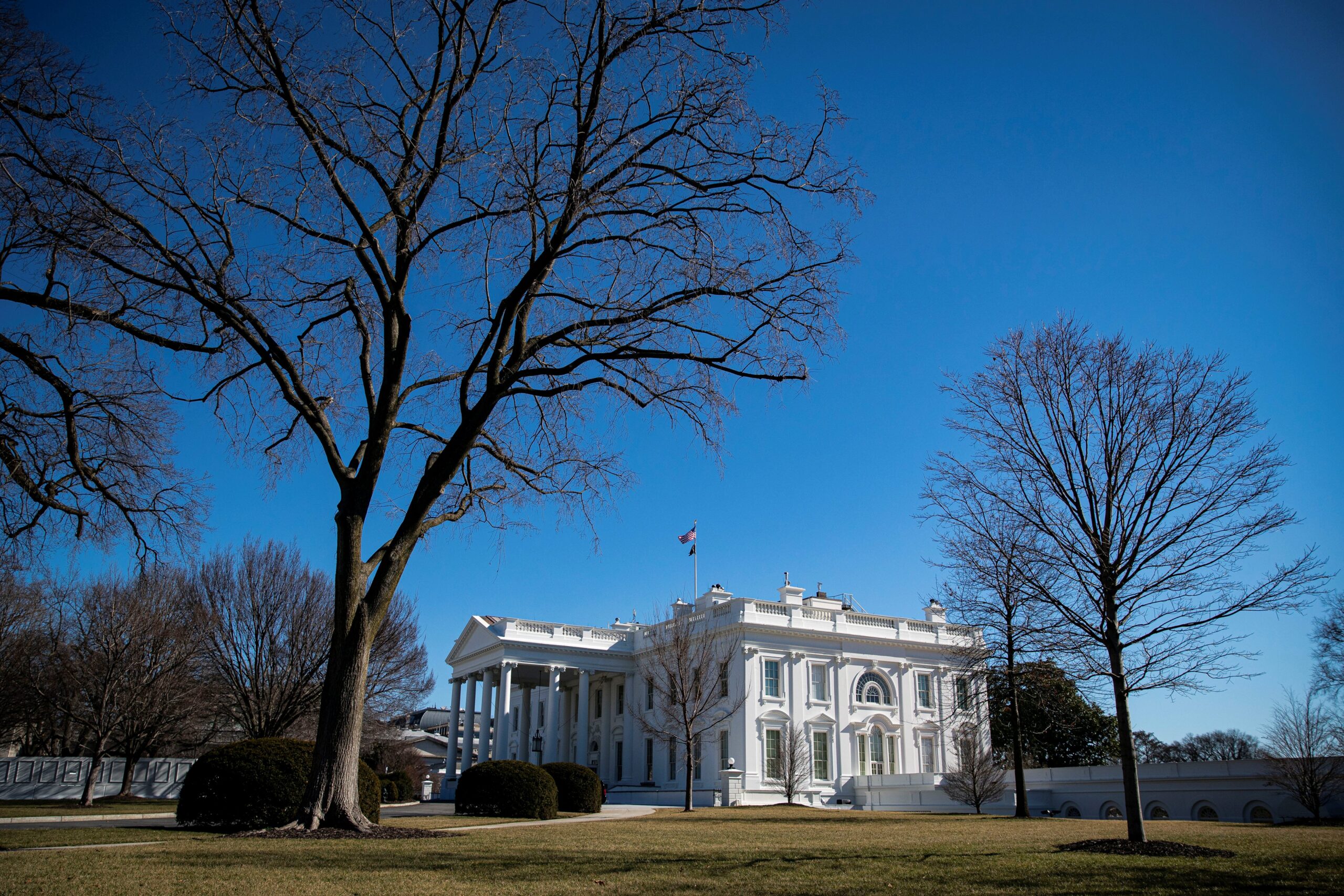 fact checking, misinformation, Donald Trump, White House, Jesus statue, AI-generated content, digital creations, viral videos