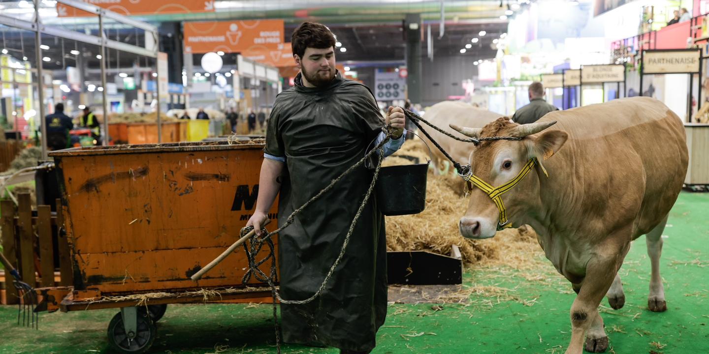 61st International Agriculture Fair, Emmanuel Macron, French farmers, agriculture, international trade, Mercosur, EU-Ukraine, Ukraine, rural coordination, law of agricultural orientation, general public interest, environmental offenses, François Bayrou, Jordan Bardella, RN