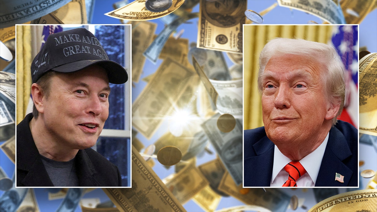 Elon Musk, Department of Government Efficiency (DOGE), Treasury Departments central payment system, preliminary injunction, U.S. District Judge Jeannette Vargas, lawsuit, 19 attorneys general, sensitive information, privacy laws, New York Attorney General Letitia James