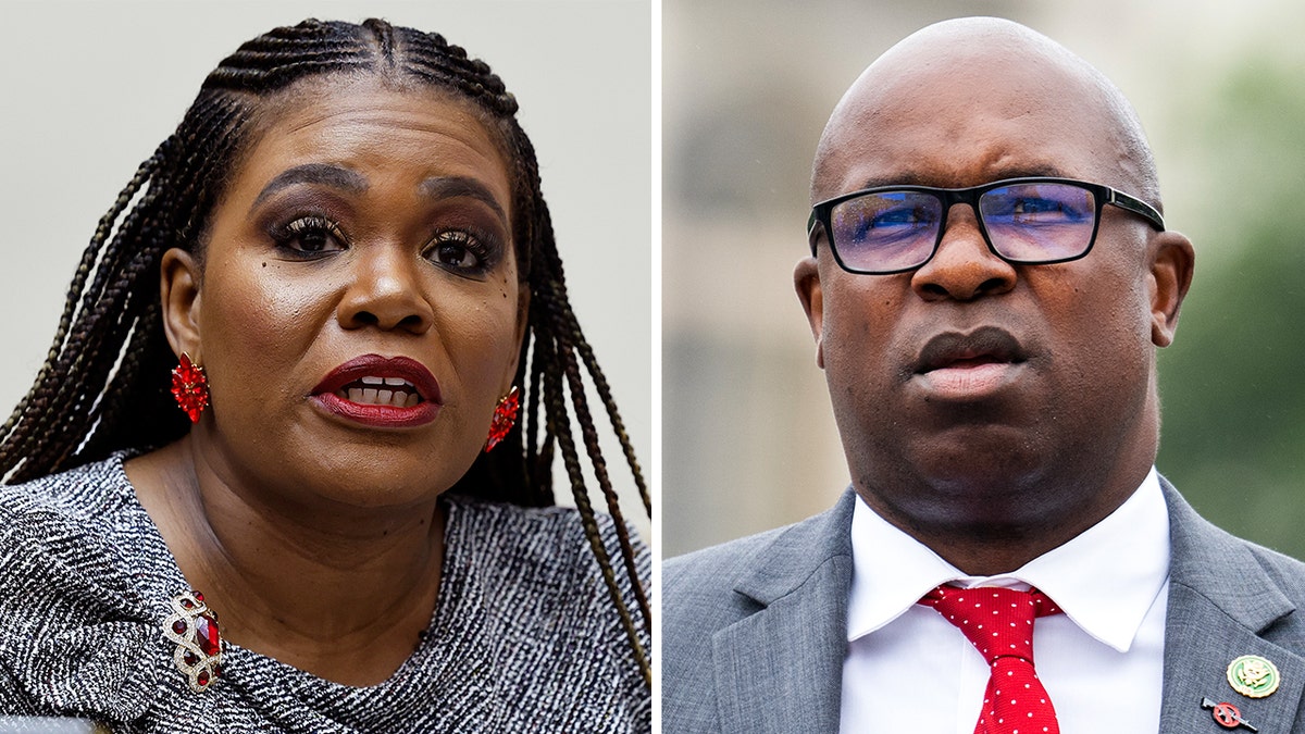 Bowman and Bush, The Squad, Cori Bush, Jamaal Bowman, Mehdi Hassan, Zeteo, American Israel Public Affairs Committee (AIPAC), United Democracy Project (UDP), Justice Department, campaign spending