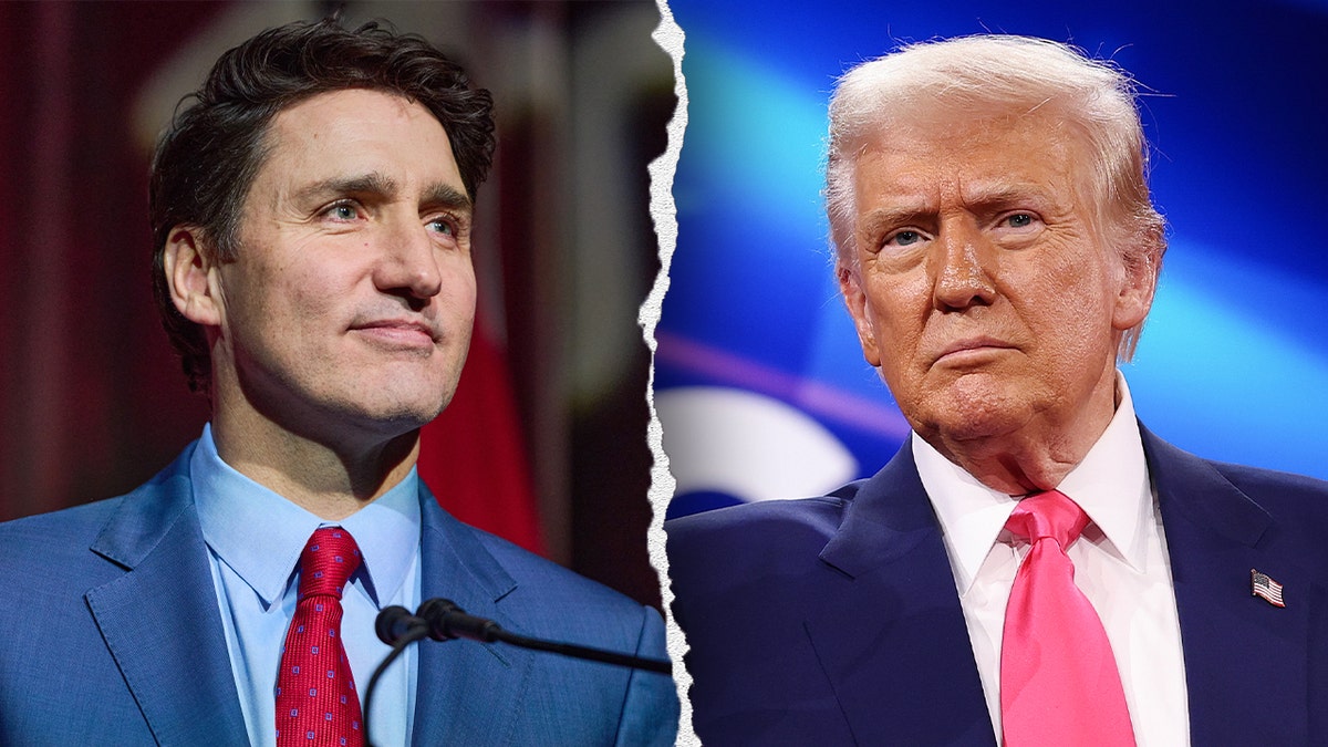 Donald Trump, Justin Trudeau, Ukraine war, U.S. border security, Canada, Mexico, China, tariffs, fentanyl, natural resources, trade deficit, 51st state