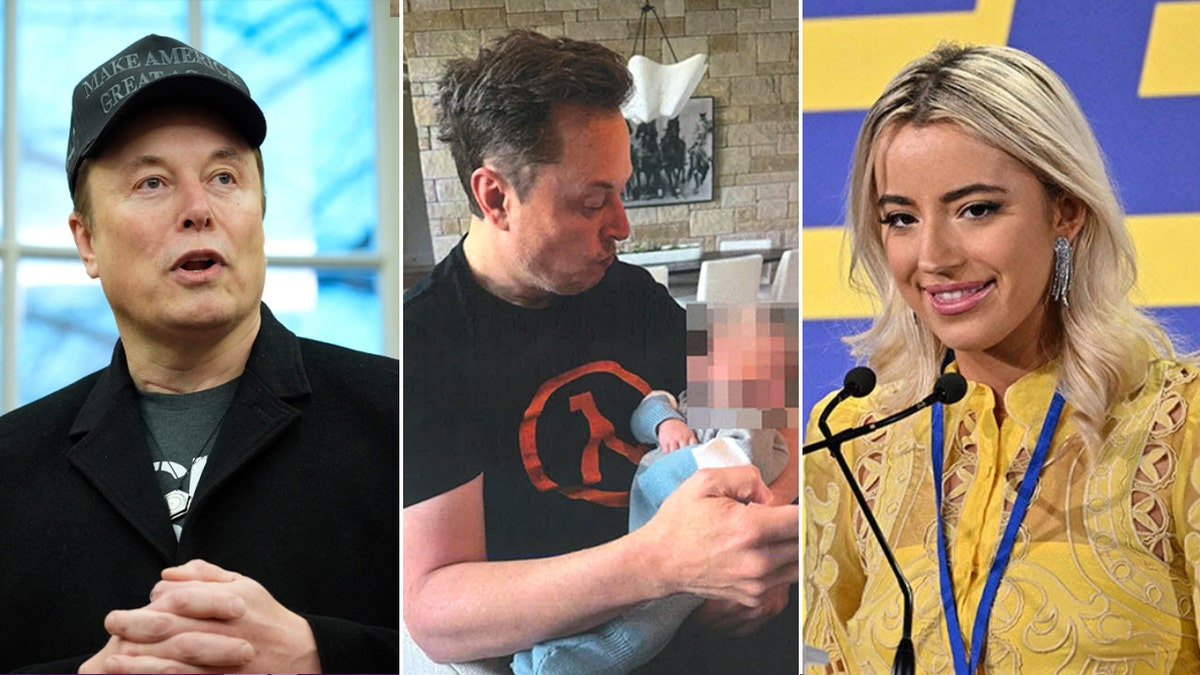 Elon Musk, Ashley St. Clair, Paternity, Custody, Conservative Influencer, Babylon Bee, Grimes, Claire Boucher, Parental Relationship, Child Support, FOX News