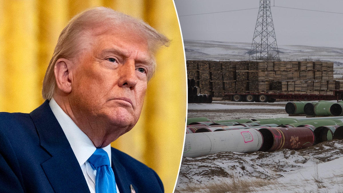 Keystone XL Pipeline, President Donald Trump, Joe Biden, Energy, Pipeline, Fossil Fuels