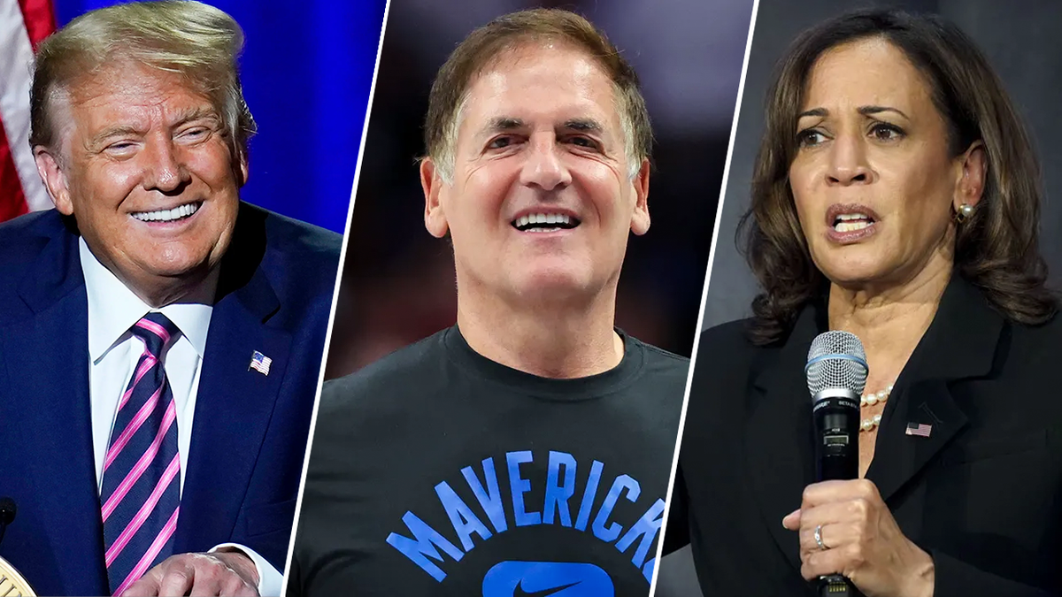 Mark Cuban, Democrats, Marketing, Donald Trump, Paris Hilton, Dennis Rodman, Kamala Harris, messaging, marketing, presidential campaign, Politics,