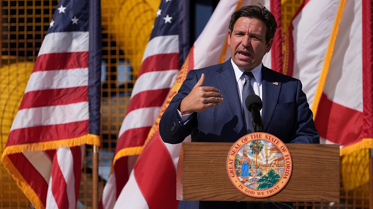 Florida, DOGE, Ron DeSantis, Elon Musk, Department of Government Efficiency, artificial intelligence, DEI, contracts, government efficiency, bureaucratic bloat