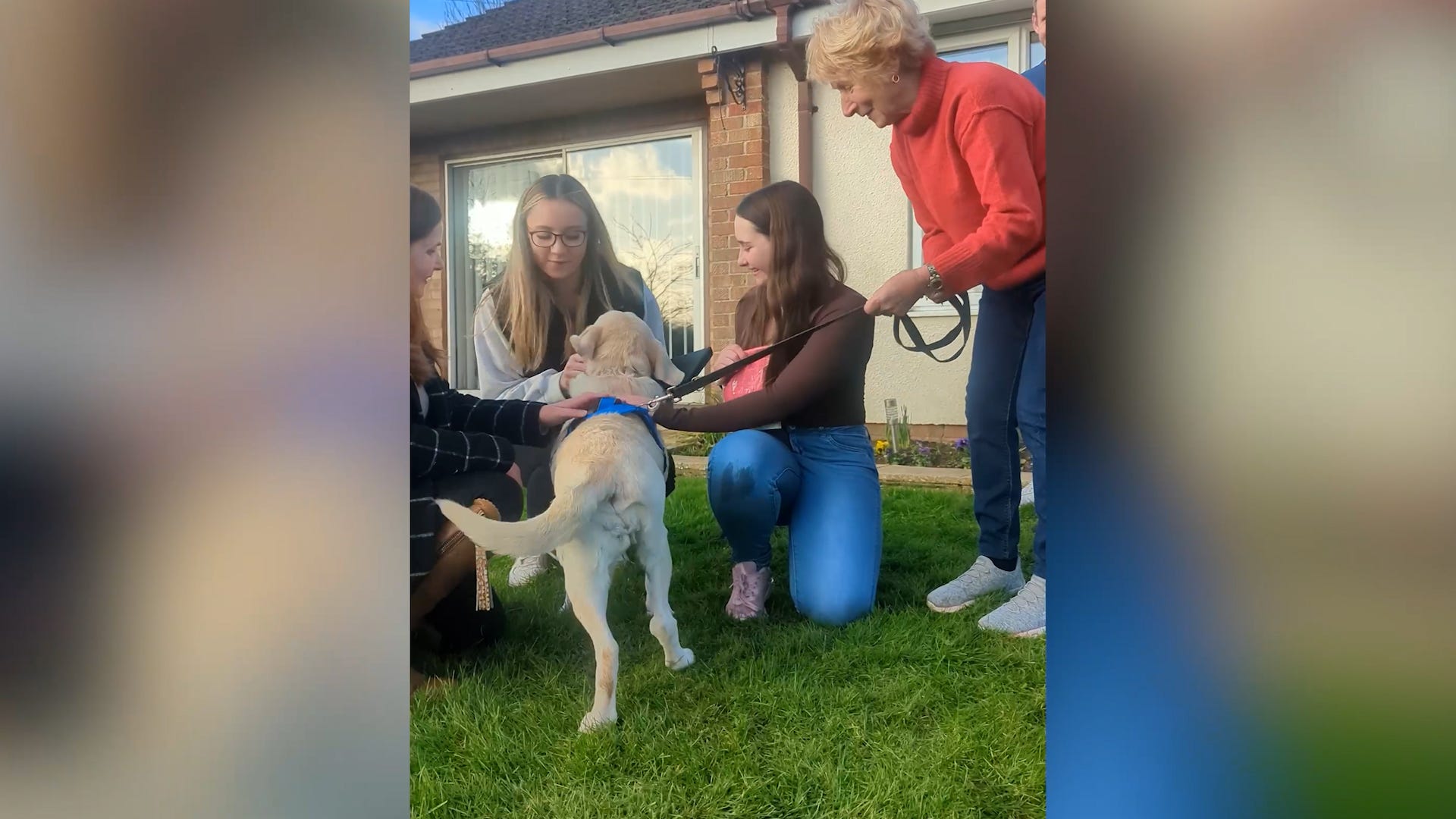 Stole; stolen dog; missing dog; family reunited with dog after 8 years; Daisy; Royal Society for the Prevention of Cruelty to Animals; RSPCA; microchip; Old Buckenham; Norfolk; England; Rita Potter; Philip Potter