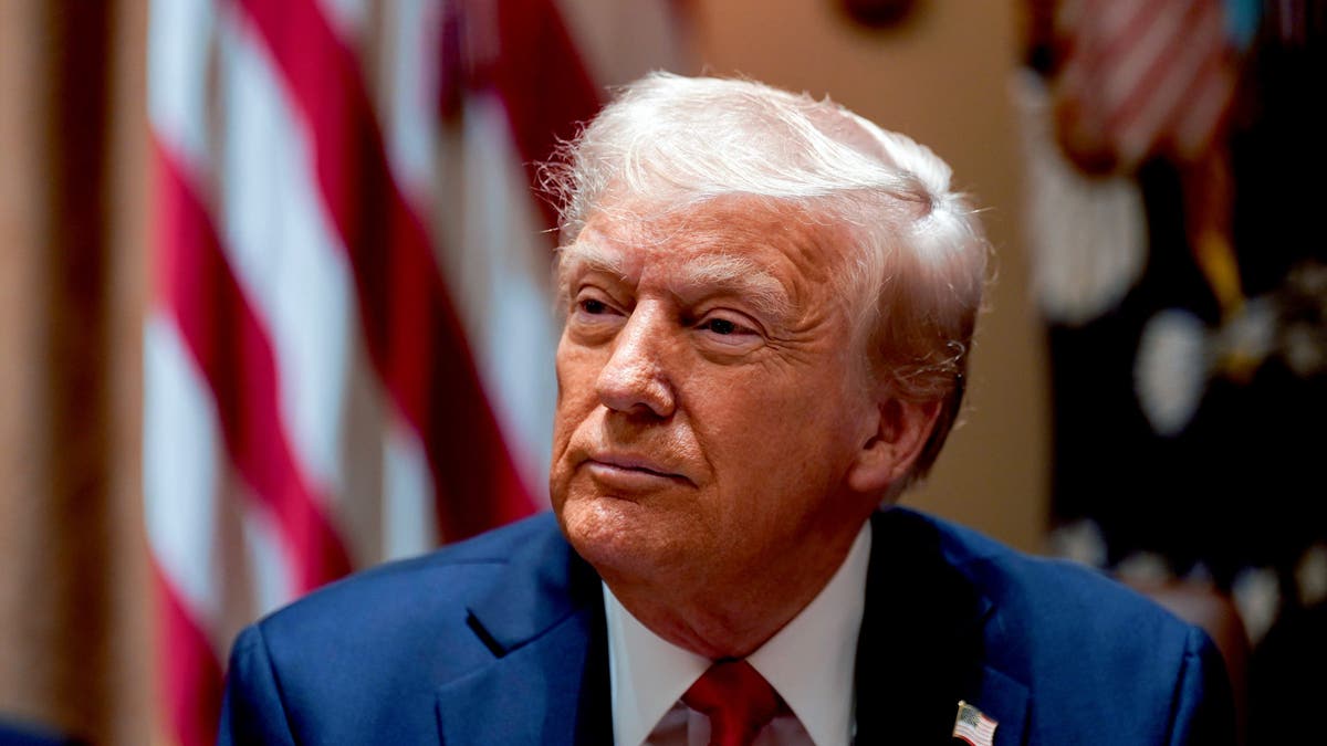 gold card visa, Donald Trump, wealthy immigrants, investment visa, citizenship by investment, EB-5 visa, U.S. economy, Anthony Esposito, Island Capital Investments, immigration policy, national debt, job creation, tax revenue, vetting process, U.S. citizenship, foreign investment
