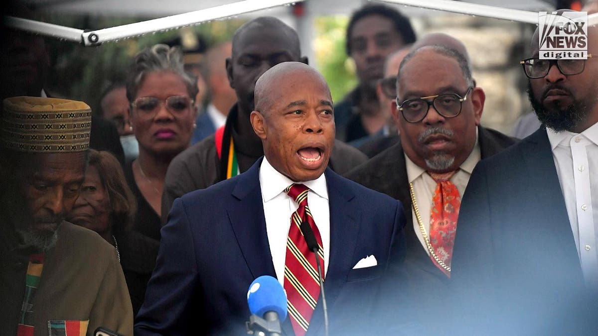 Eric Adams, prosecutorial misconduct, Justice Department, Dale Ho, motion to dismiss, corruption charges, fair trial, leaked information, Danielle Sassoon, presumption of innocence, statutory rules, court rules, Emil Bove, illegal immigration, violent crime, Paul Clement, unopposed motion to dismiss
