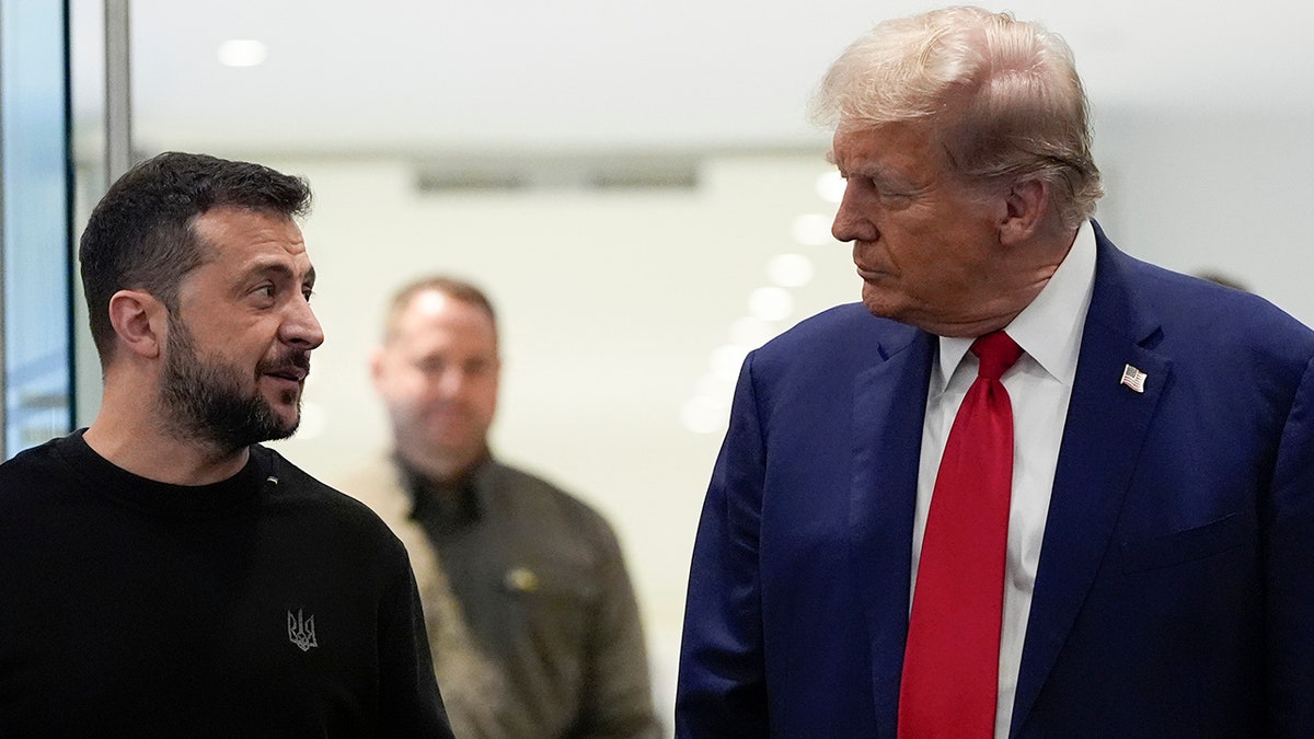 Donald Trump, Volodymyr Zelenskyy, Keir Starmer, Ukraine, Russia, dictator, peace talks, rare earth minerals, trade deal, tariffs, King Charles, state visit, White House, U.S.-U.K. relations
