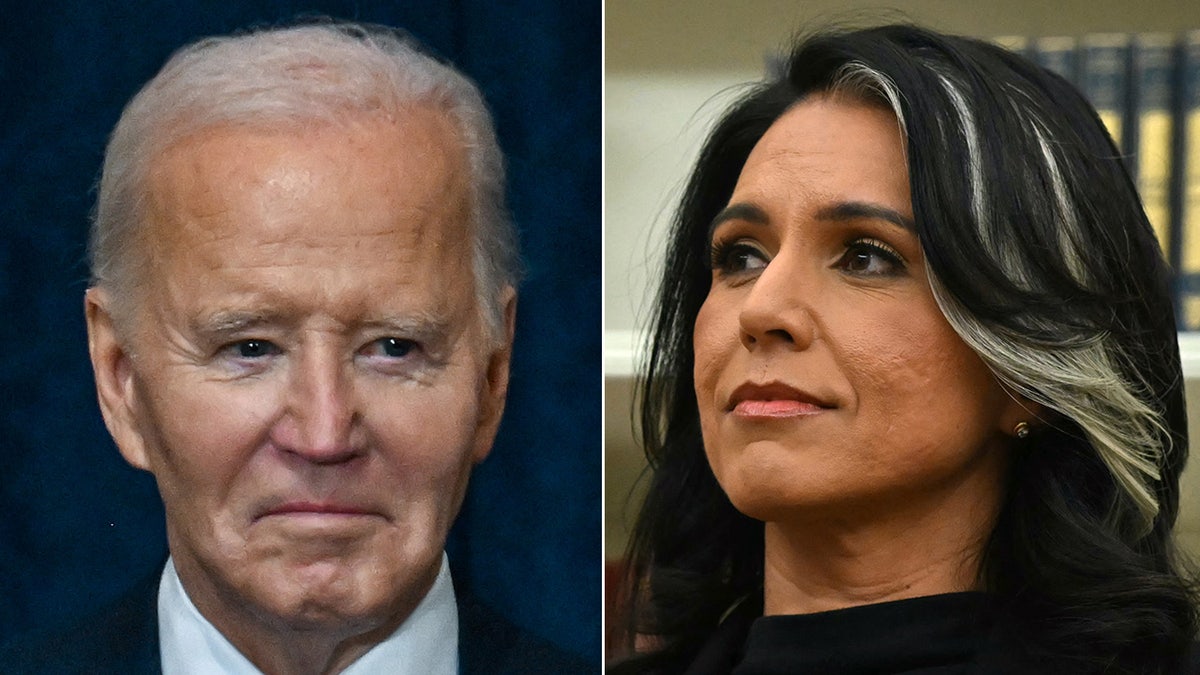 Tulsi Gabbard, Joe Biden, Donald Trump, DEI, Diversity Equity Inclusion, National Intelligence, NSA, National Security Agency, whistleblowers, Avril Haines, Elon Musk, DOGE, Department of Government Efficiency, security clearances, sexual misconduct, internal messaging boards, federal government, Cabinet meeting, Tom Cotton.
