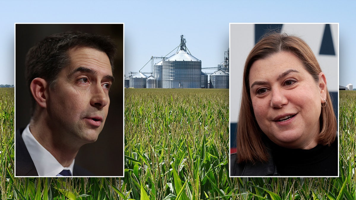 Farm and Food Cybersecurity Act, food supply, cyber attacks, agriculture, food infrastructure, Tom Cotton, Elissa Slotkin, Department of Agriculture, national security, food security, risk assessment, crisis simulations, food industry, cybersecurity vulnerabilities
