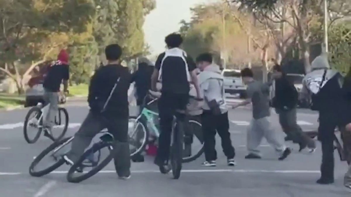 Los Angeles, crime, assault, teenage bicyclists, Carthay neighborhood, San Vicente Boulevard, Carrillo Drive, LAPD, police investigation, group attack, bicycle gang, minor injuries
