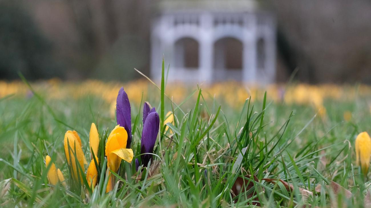 Frühling, Wetter, Deutschland, meteorologischer Frühlingsanfang, Deutscher Wetterdienst, Offenbach, Vorhersage, Sonne, Regen, Temperaturen, Fastnacht, Karneval, Rosenmontag, Hochdruckgebiet, Schleswig-Holstein, Wolken, Sprühregen
