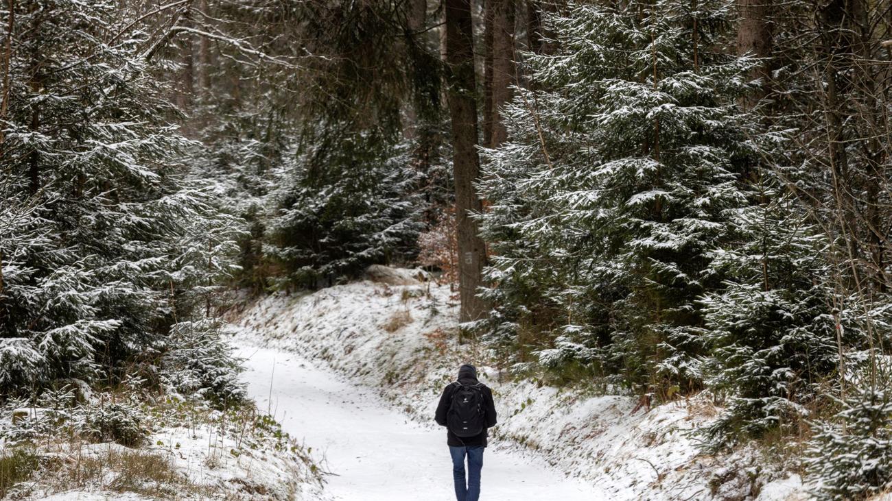 Thuringian Forest, winter sports, skiing, snowboarding, sledding, ski lifts, snow conditions, artificial snow, climate change, Oberhof, Schmiedefeld, Heubach, Steinach, weather forecast, Thuringia, Germany
