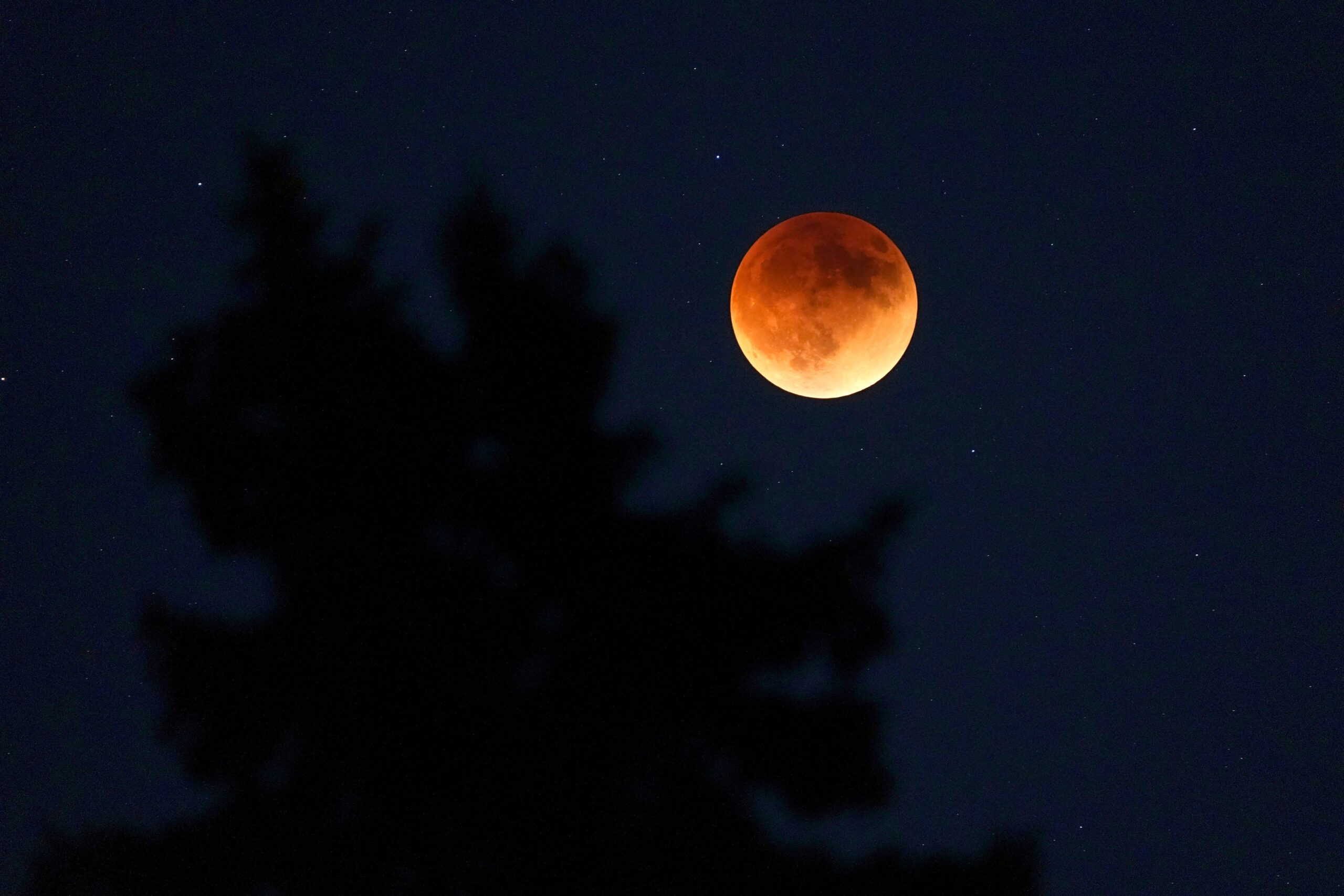 lunar eclipse, blood moon, total lunar eclipse, March 2025, celestial event, astronomical phenomenon, moon, Earth, sun, NASA, viewing tips, eclipse schedule, US, United States, North America, skywatching, astronomy, night sky, visible eclipse, March 13, March 14, 2025, Western Hemisphere
