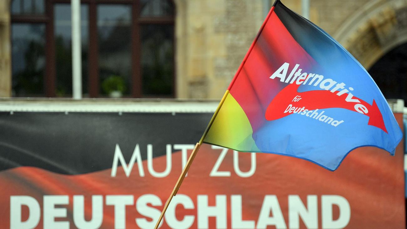 AfD, Sachsen-Anhalt, Landesparteitag, interne Streitigkeiten, Abwahlanträge, Jan Wenzel Schmidt, Kay-Uwe Ziegler, Generalsekretär, Bundestagswahl, Direktkandidaten, Rücktritt, manipulative Methoden, skrupellose Methoden, Parteitag

