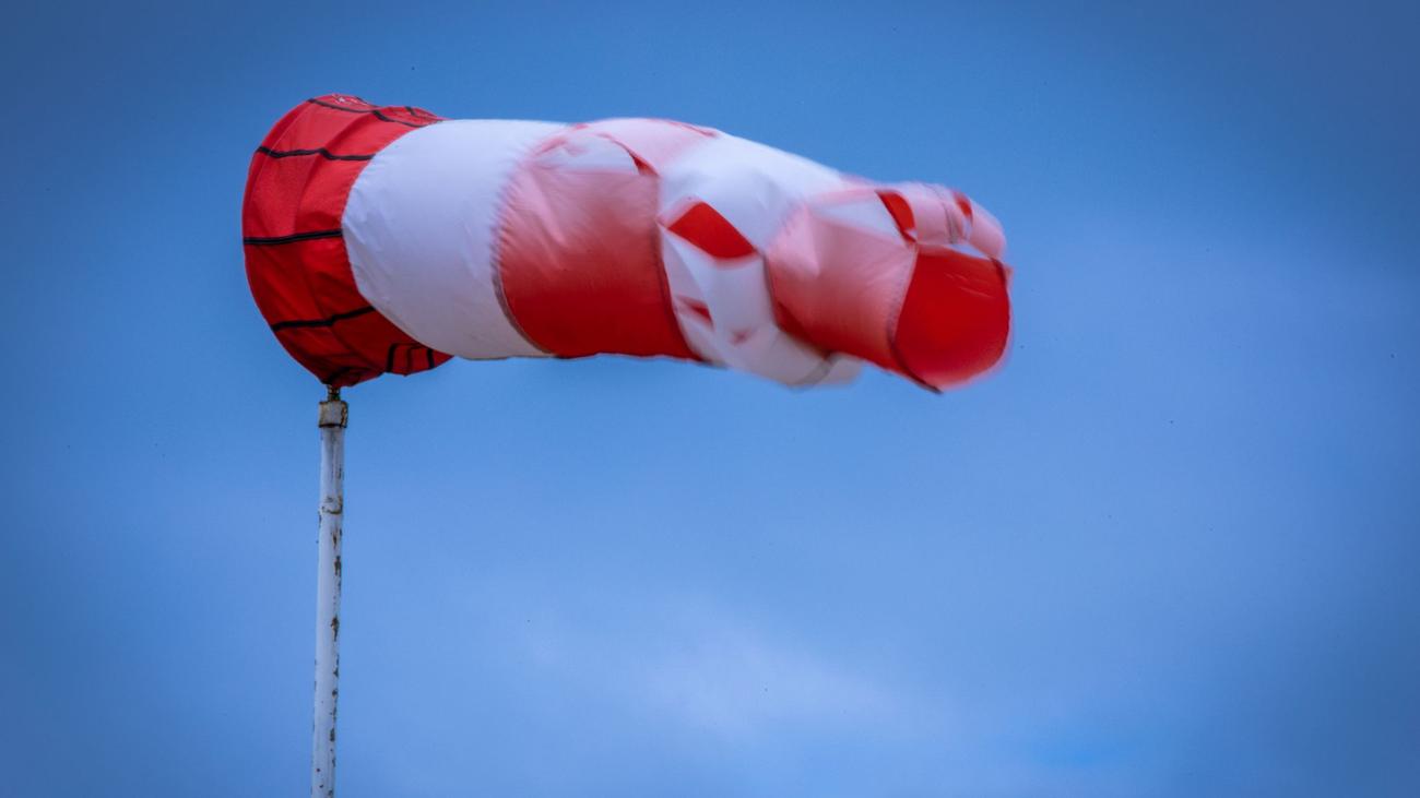 Airplane emergency landing, Celle-Scheuen, aircraft damage, landing gear failure, pilot unharmed, fire department, emergency services, police, Scheuen airfield, no injuries, controllable aircraft, no danger to public
