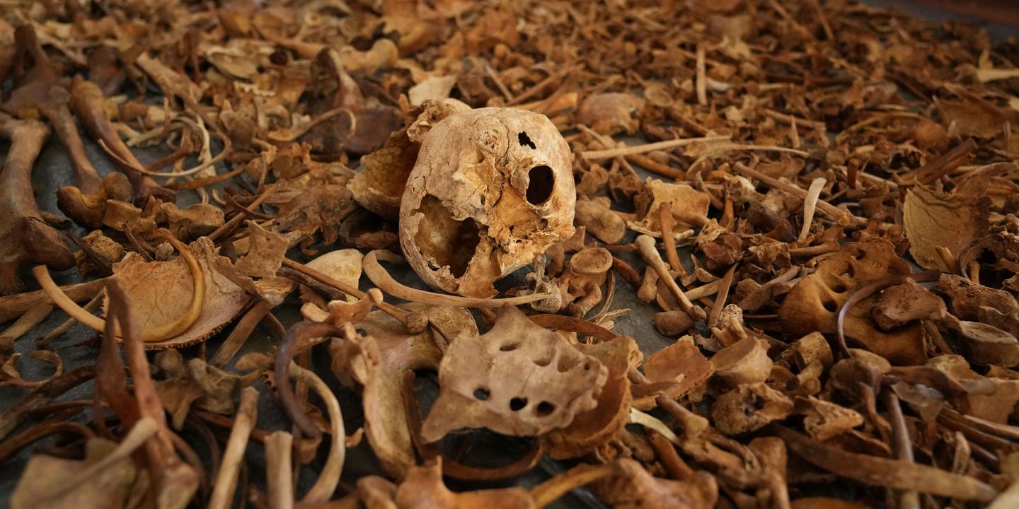 Rwanda, genocide, Tutsi, Alphonse K., Butare, France, indictment, crimes against humanity, investigation, PNAT, Jean Kambanda, Interahamwe, Hutu, trial, court, justice
