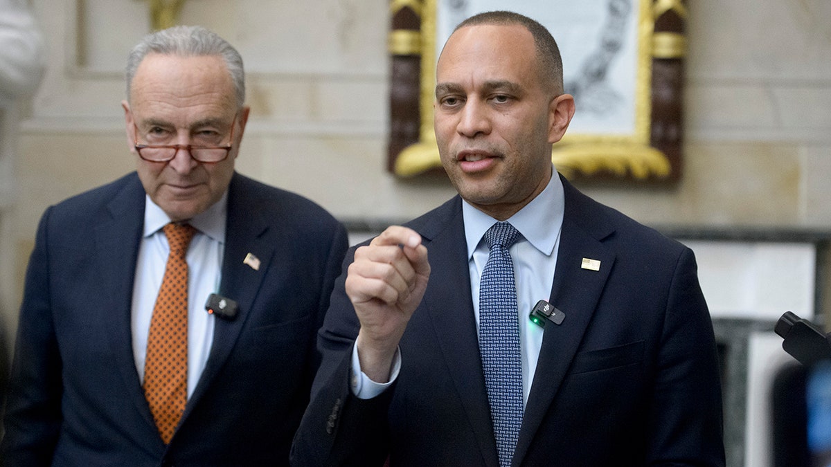 Medicaid cuts, Hakeem Jeffries, House Republicans, budget resolution, Trump tax cuts, state provider taxes, healthcare funding, American Hospital Association, state budget deficits, healthcare, nursing homes, disabilities, families, seniors, children.
