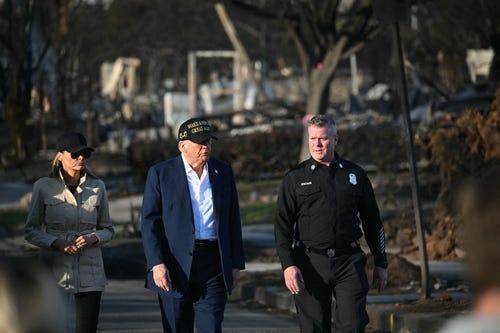 Donald Trump, executive order, forest management, Los Angeles wildfires, California wildfires, environmental policies, Endangered Species Act, timber, timber thinning, timber salvaging, lumber, timber imports, tariffs, Gavin Newsom, Peter Navarro
