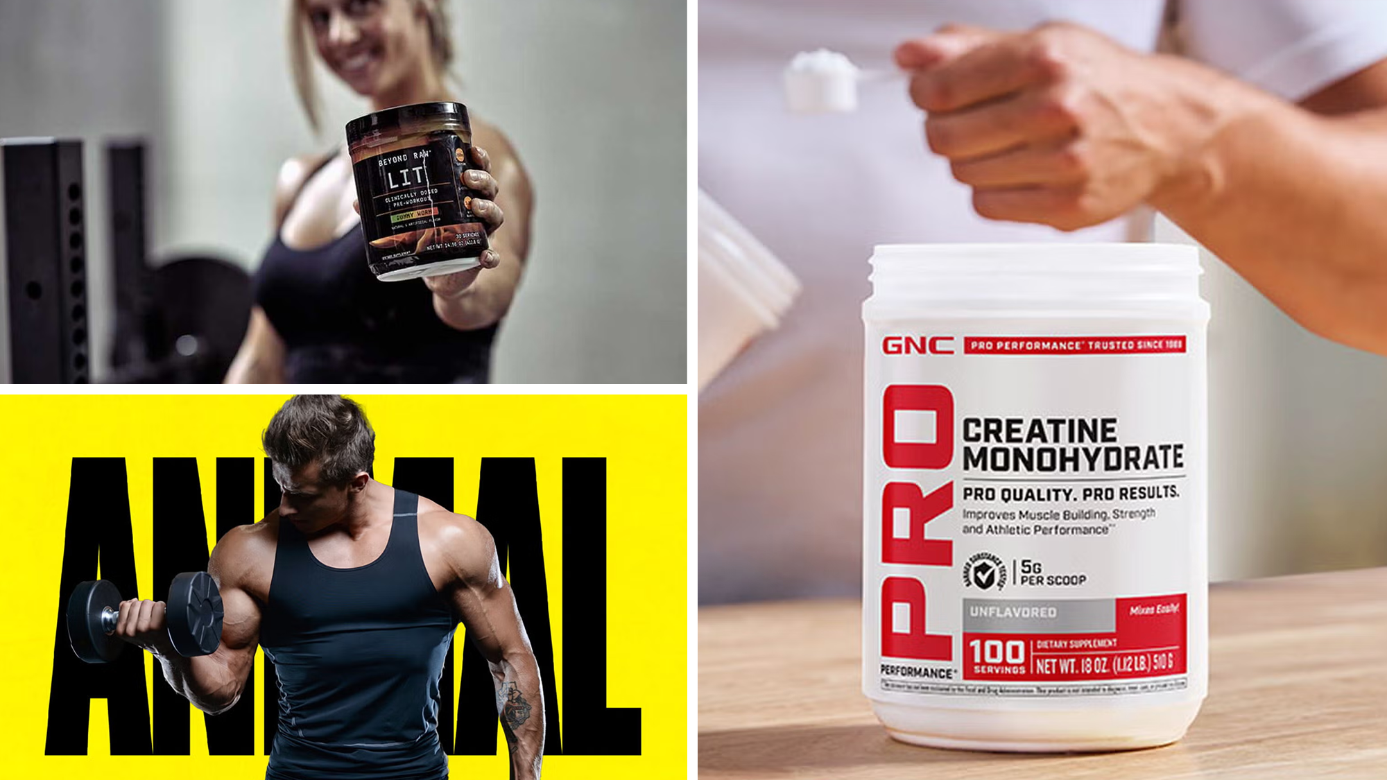 GNC, sale, Live Well Sale, protein powder, pre-workout, energy drinks, multivitamins, fitness, wellness, health, Nature's Way, MuscleTech, Animal Pak, supplements, discounts, deals, March 19
