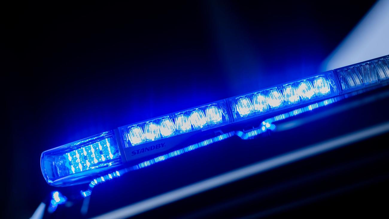 Wildunfall, Dachs, Verkehrsunfall, Friesenried, Ostallgäu, Toter, Autofahrer, Unfall, Straße, Kadaver, Verkehrssicherheit, Verkehrstod
