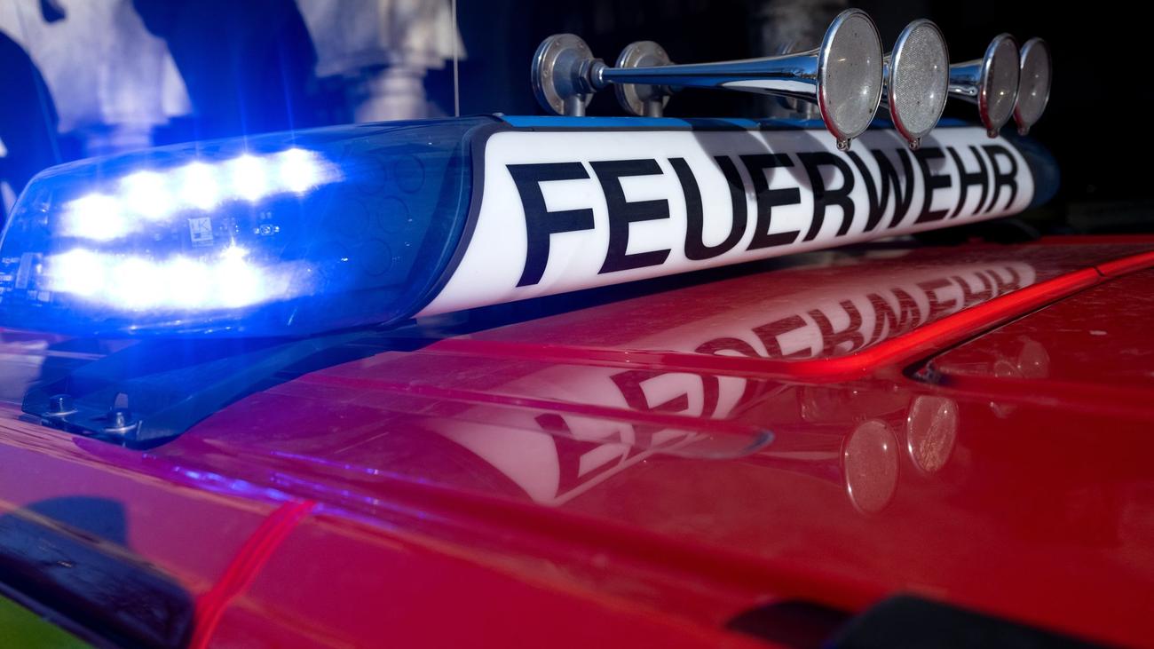 woman, apartment fire, Munich, severely injured, dog, rescued, fire department, kitchen fire, apartment building, uninhabitable, damage, police investigation, cause of fire
