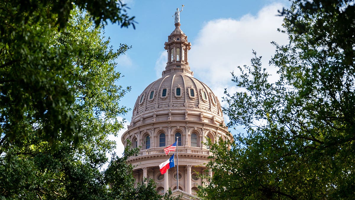 Texas gender transition ban, HB 3399, Brent Money, transgender adults, transgender minors, gender-affirming care, puberty blockers, gender transition procedures, Texas legislation, Greg Abbott, Texas Supreme Court, parental rights, transgender Texans
