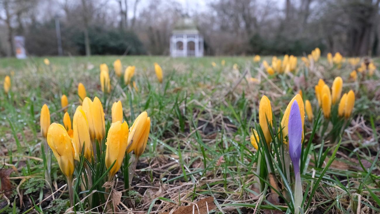 Sachsen, Saxony, weather, forecast, German Weather Service, DWD, sunshine, temperatures, high pressure, spring, Leipzig, Chemnitz, frost, night frost, weather forecast, Germany, German weather
