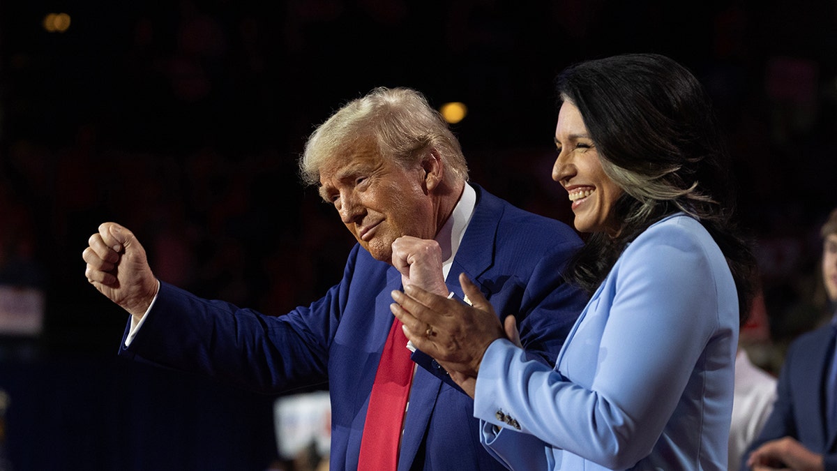Tulsi Gabbard, Donald Trump, Volodymyr Zelenskyy, JD Vance, Ukraine, Russia, Oval Office, Nuclear War, World War III, US-Ukraine Relations, Peace Deal, Rare Earth Minerals, Marco Rubio, Mark Kelly, US Foreign Policy.
