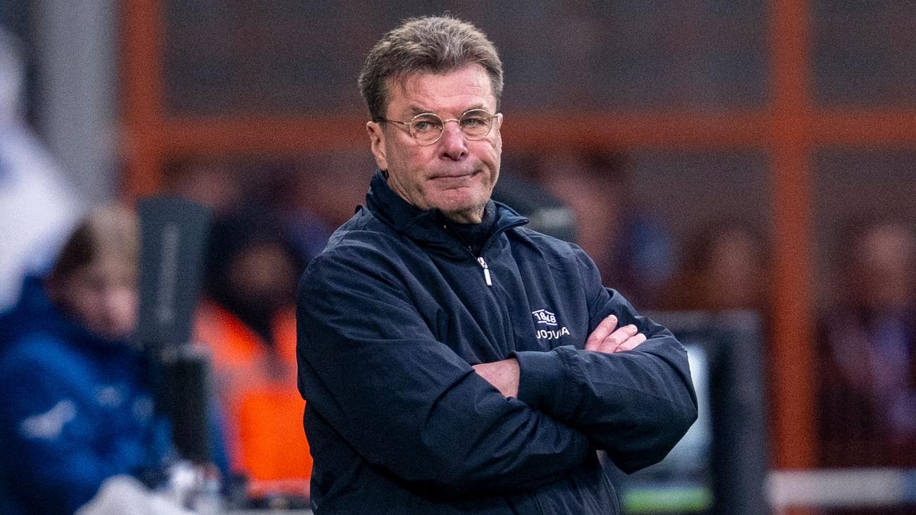 VfL Bochum, TSG 1899 Hoffenheim, Dieter Hecking, Timo Horn, Patrick Drewes, Bundesliga, relegation battle, German football, soccer, goalkeeper error, coaching, sports news
