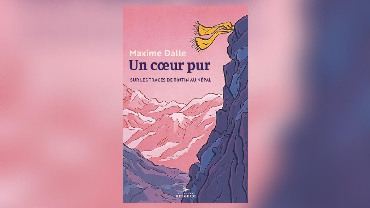 Maxime Dalle, Un cœur pur, book review, Tintin, childhood, influences, philosophy, literature, Saint-Exupéry, growing up
