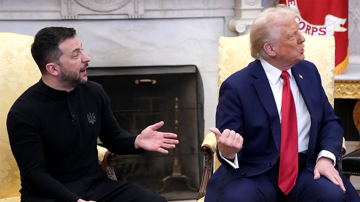Trump, Zelenskyy, Ukraine, Russia, JD Vance, peace negotiations, White House, Oval Office, diplomacy, rare-earth minerals deal, military equipment, Afghanistan, Taliban, EPA, Lee Zeldin, federal employees, English, official language, executive order, budget cuts, reorganization plans
