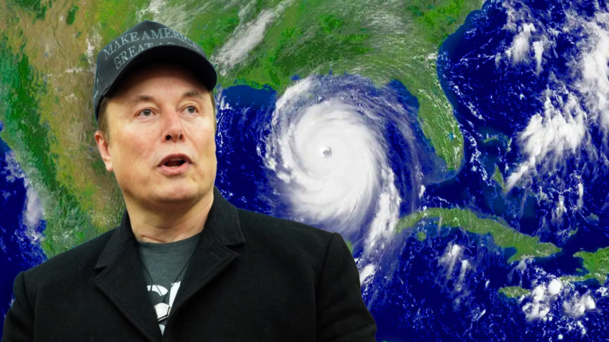 NOAA, layoffs, Trump administration, weather service, National Oceanic and Atmospheric Administration, Sen. Maria Cantwell, Sen. Chris Van Hollen, Rep. Grace Meng, Elon Musk, Department of Government Efficiency, DOGE, weather forecasting, extreme weather, hurricanes, wildfires, floods, meteorologists, data scientists, climate scientists, Daniel Swain, National Weather Service, NWS, government downsizing, federal costs, personnel matters, termination notices, weather predictive models, weather instrumentation network
