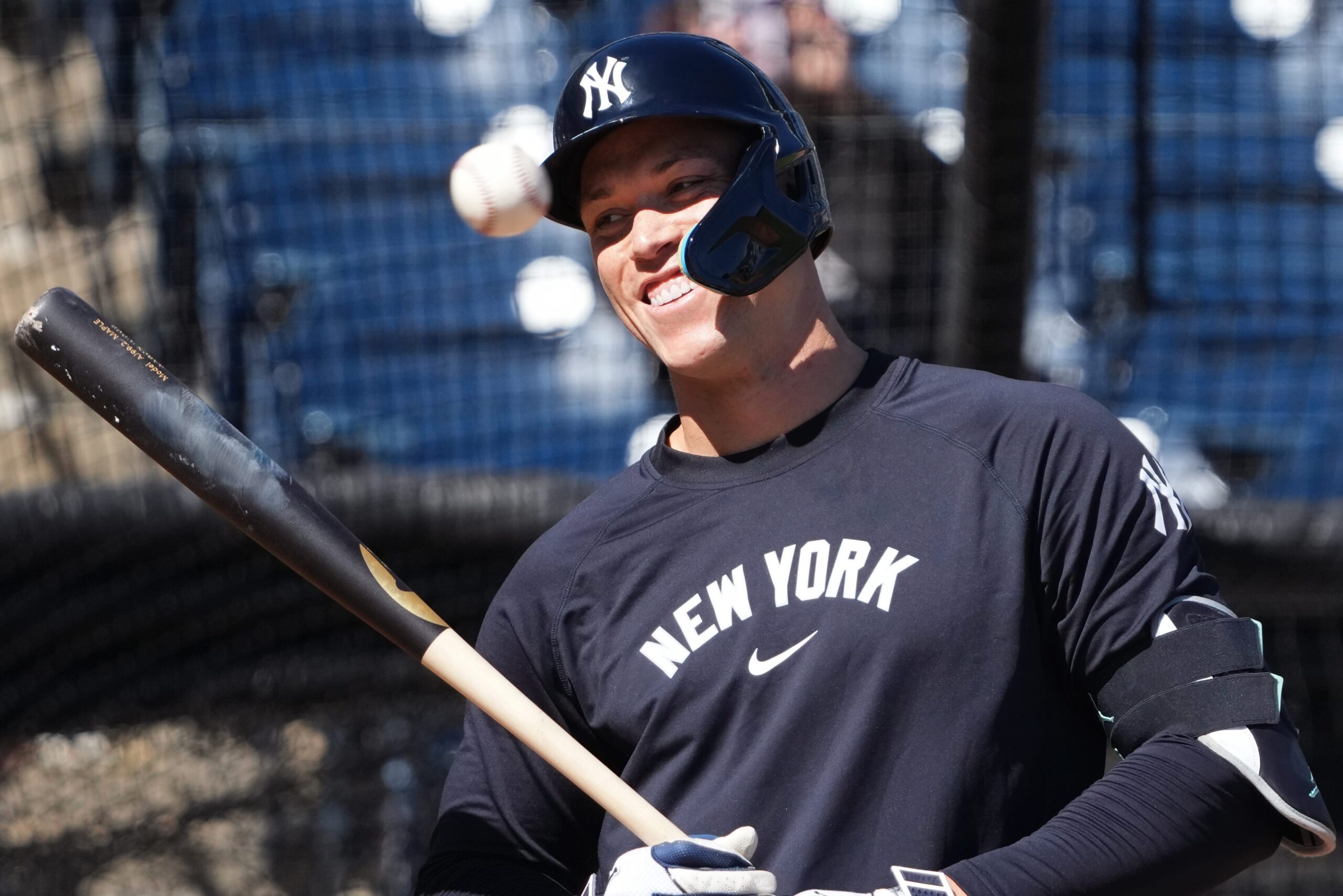 Aaron Judge, New York Yankees, World Series loss, baseball, youth sports, sports parenting, overcoming losses, team camaraderie, coaching advice, Bill Buckner, Gerrit Cole, Joe Kelly, Coach RAC, RobertAnthony Cruz, A. Bartlett Giamatti, spring training, baseball season, sports motivation, perseverance, sports psychology, sports experience, youth baseball, Coach Steve Borelli

