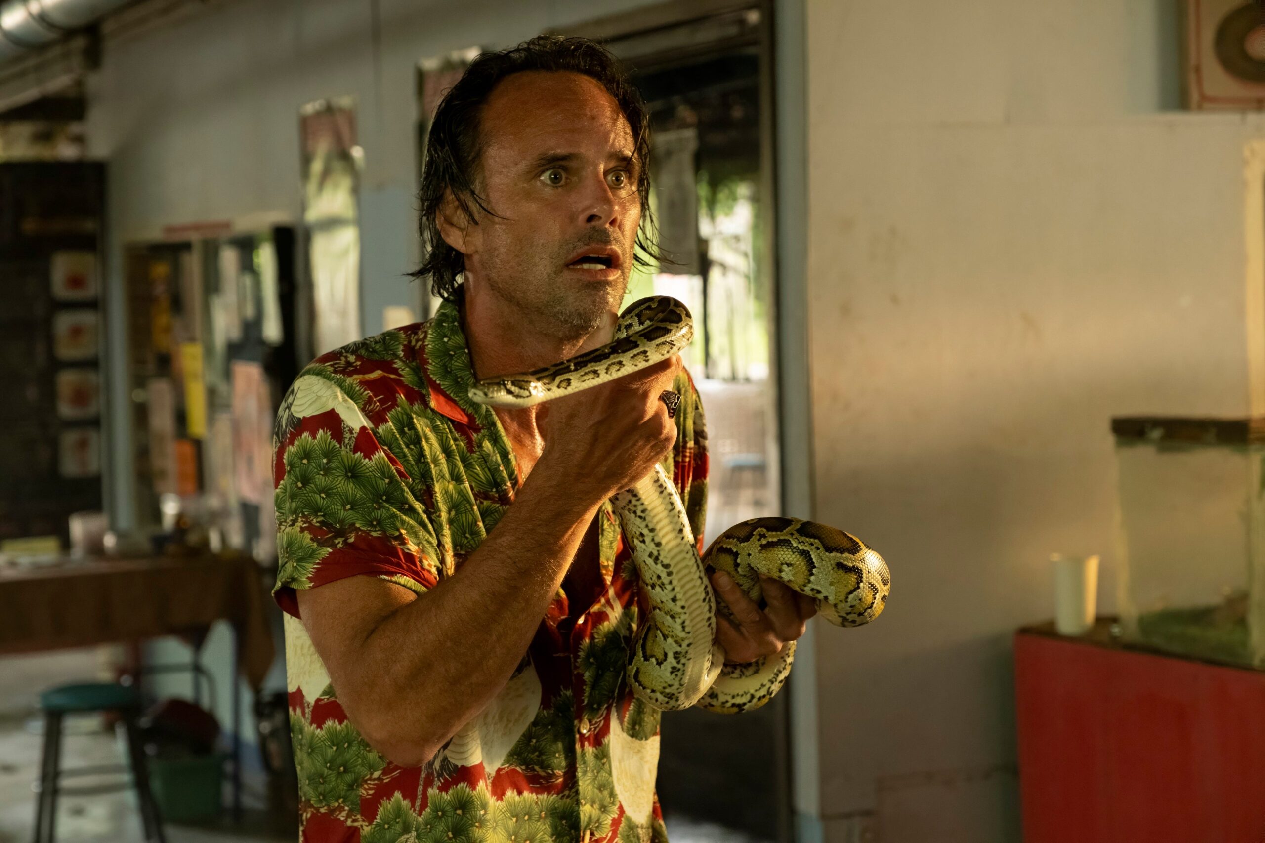The White Lotus, Season 3, Rick Hatchett, Walton Goggins, Aimee Lou Wood, Chelsea, snakes, Thailand, cobra show, character reveal, secret mission, father's murder, love story, The Righteous Gemstones, Fallout, Ghoul, Max, HBO, tuk-tuk chase scene, relationship dynamics, television review
