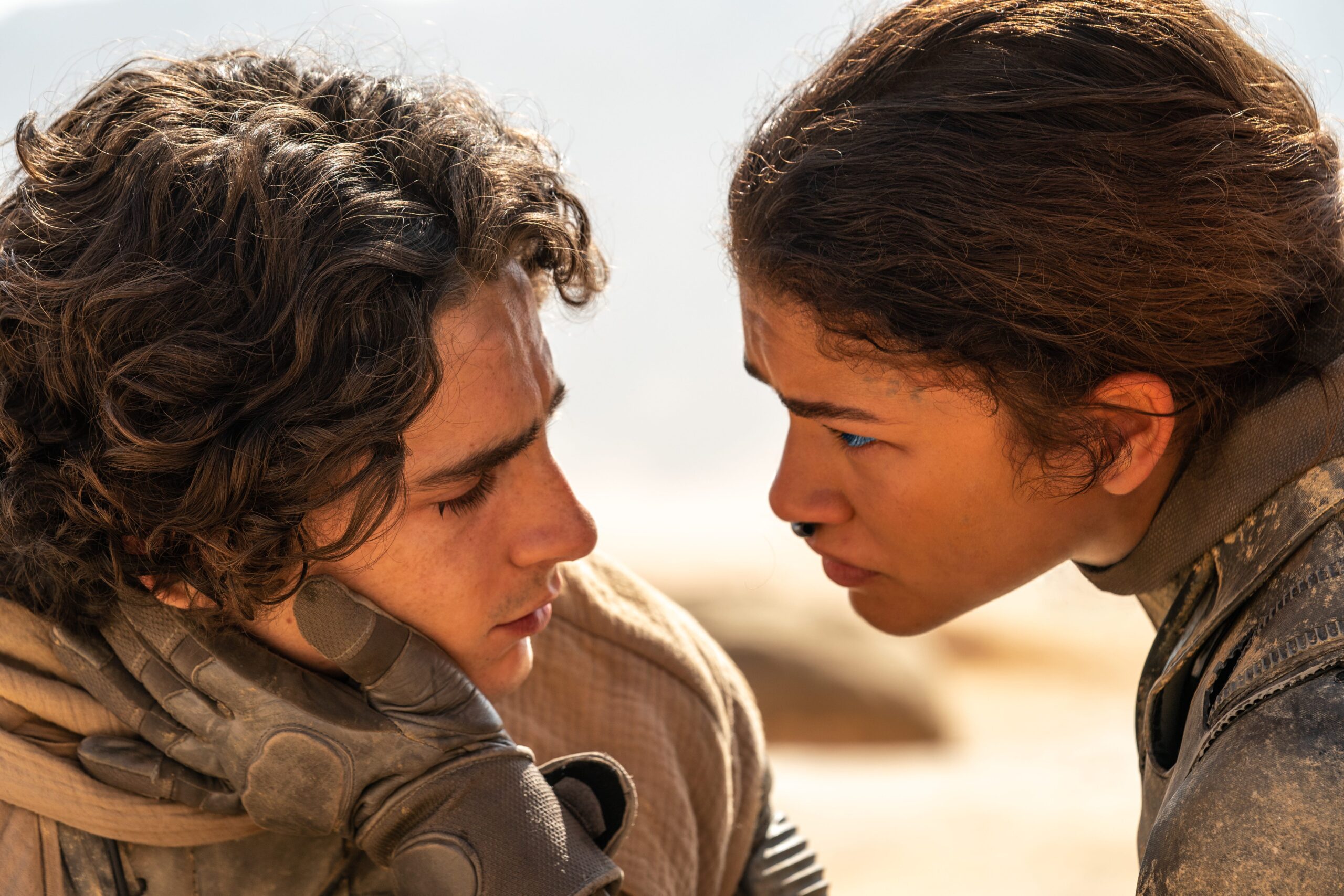 Dune: Part Two, Oscars, Academy Awards, Denis Villeneuve, Anora, Best Picture, Timothee Chalamet, sci-fi, Frank Herbert, sandworms, colonialism, religion, movie review, Brian Truitt, Dune: Part One, awards, winners
