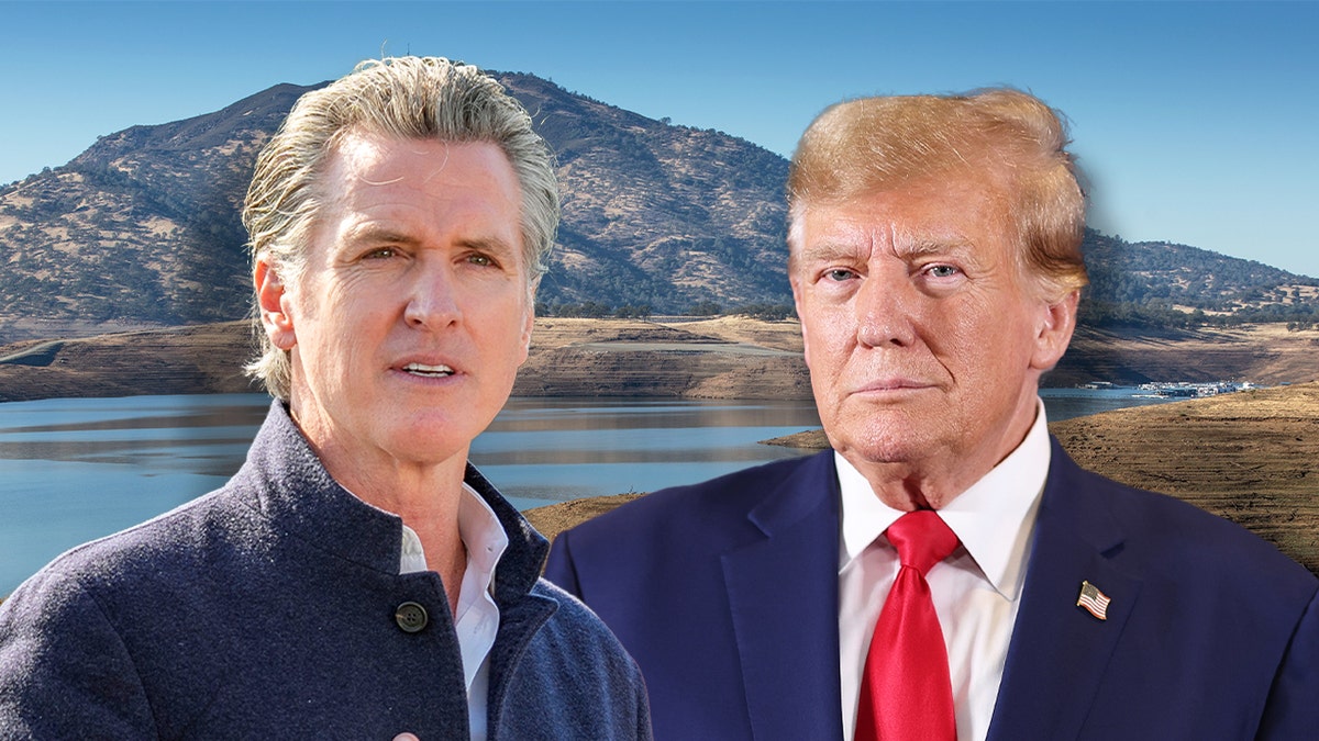 California wildfires, Gavin Newsom, Donald Trump, state of emergency, wildfire prevention, forest management, disaster relief, environmental regulations, California fire tragedy, Southern California wildfires, federal aid
