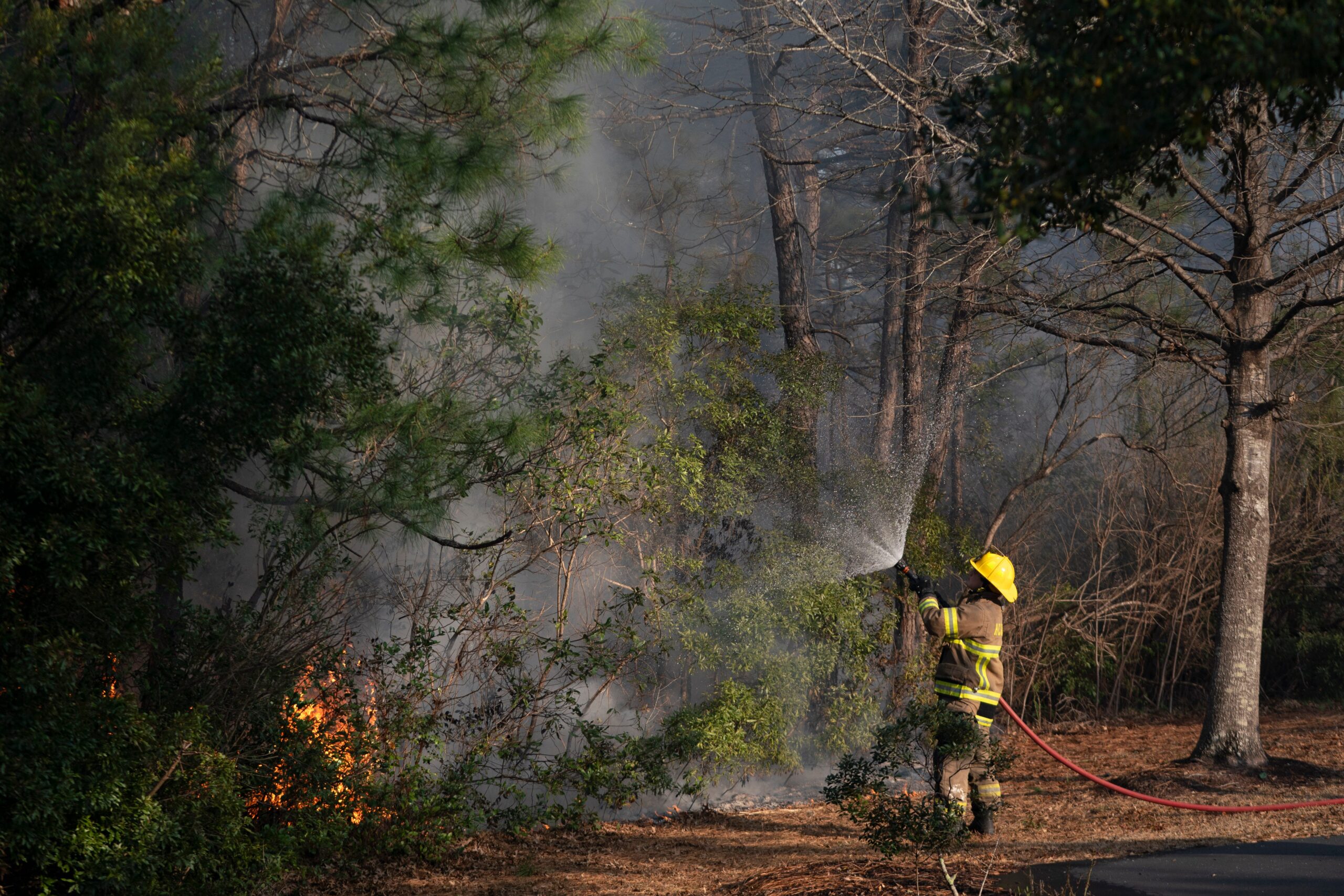 Wildfires, North Carolina, South Carolina, Evacuations, State of Emergency, Henry McMaster, Melrose Fire, Carolina Forest, Brush Fires, Blue Ridge Mountains, Saluda, Tryon, Horry County, Spartanburg County, Union County, Oconee County, Pickens County, Firefighting Resources, Dry Conditions, Gusty Winds, Wildfire Maps
