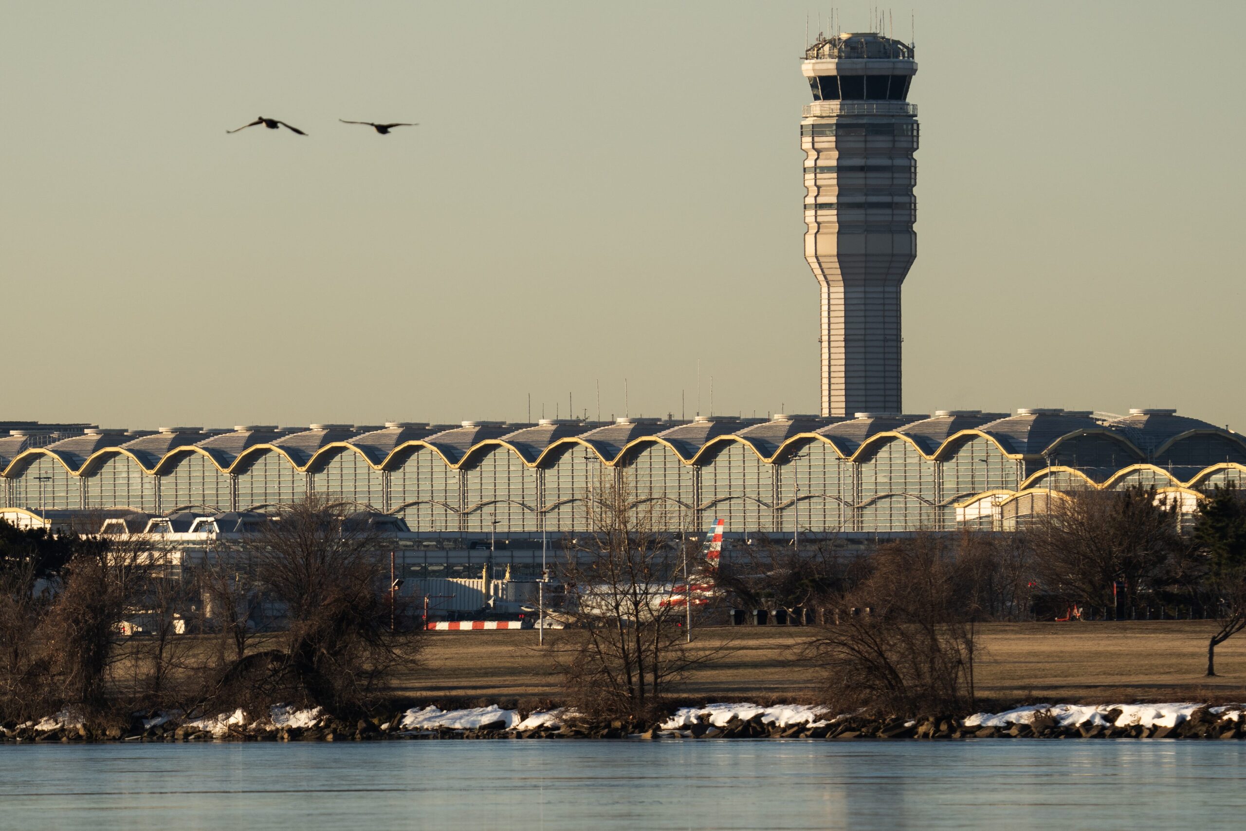 FAA, Ronald Reagan Washington National Airport, faulty warnings, pilot alerts, go-around, air traffic control, flight safety, aviation investigation, Robert Sumwalt, NTSB, airspace, mid-air collision, Black Hawk helicopter, American Airlines, Zach Wichter, USA TODAY, travel reporter, Cruising Altitude
