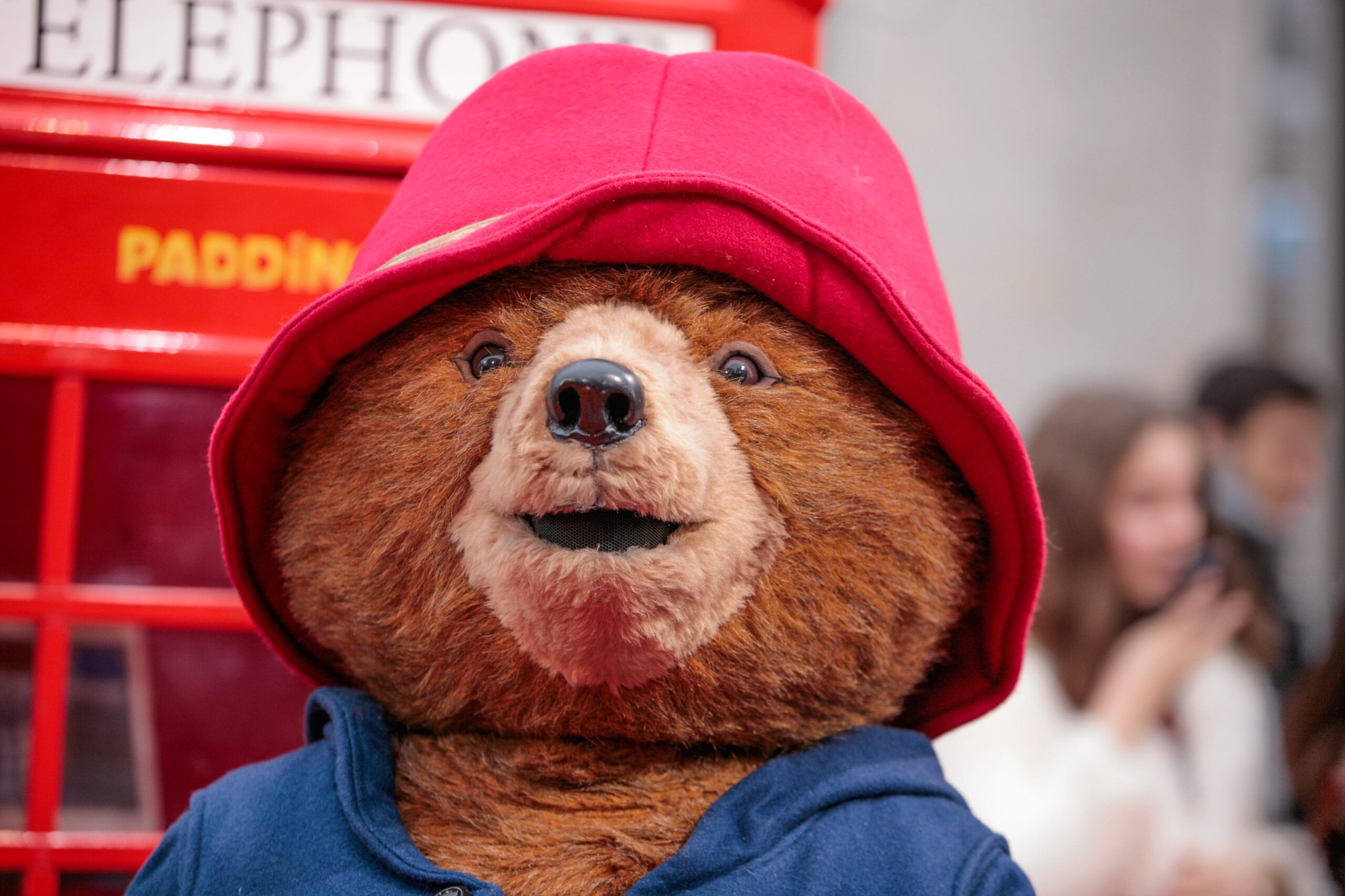 Paddington Bear, statue theft, Newbury, criminal damage, Thames Valley Police, Paddington in Peru, Michael Bond, Paddington Station, Peruvian bear, marmalade sandwich, British crime, statue recovered, court appearance, West Yorkshire, Leicestershire
