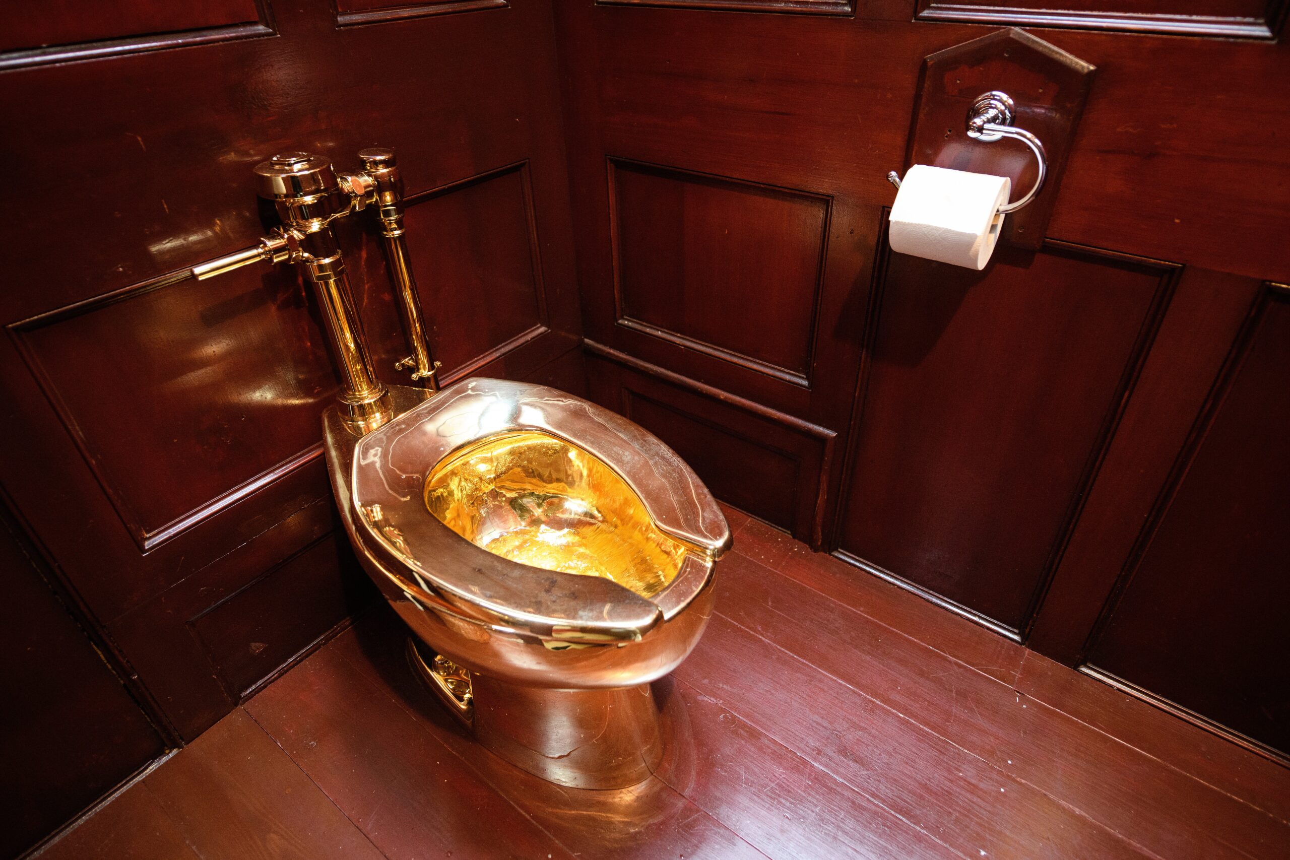 golden toilet theft, Blenheim Palace, Maurizio Cattelan, America art, Michael Jones, Frederick Doe, Bora Guccuk, art heist, Winston Churchill birthplace, Oxford Crown Court, art crime, gold dealer, stolen art, Thames Valley Police, art exhibit, UNESCO World Heritage Site
