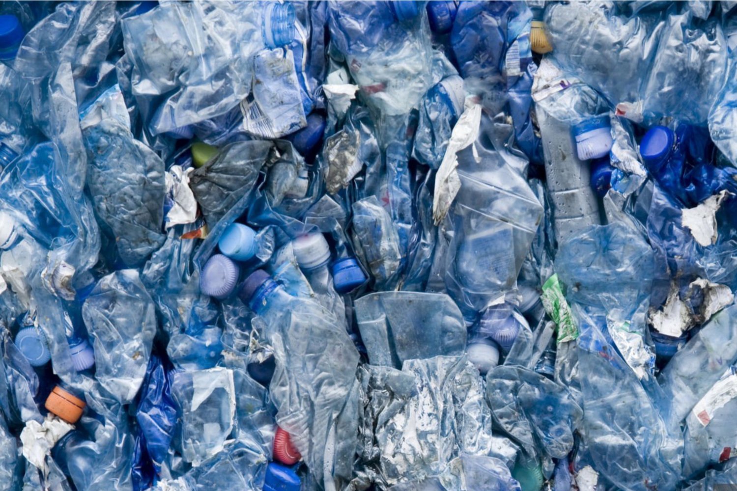 microplastics, brain, health risks, plastic pollution, environmental health, endocrine disruptors, Nicholas Fabiano, Brain Medicine, University of New Mexico, plastic exposure, human health, microplastic accumulation, oxidative stress, inflammation, immune dysfunction, cancer, infertility, metabolic disorders, reducing plastic exposure, bottled water, filtered water, tea bags, seafood, processed foods, plastic containers, glass containers
