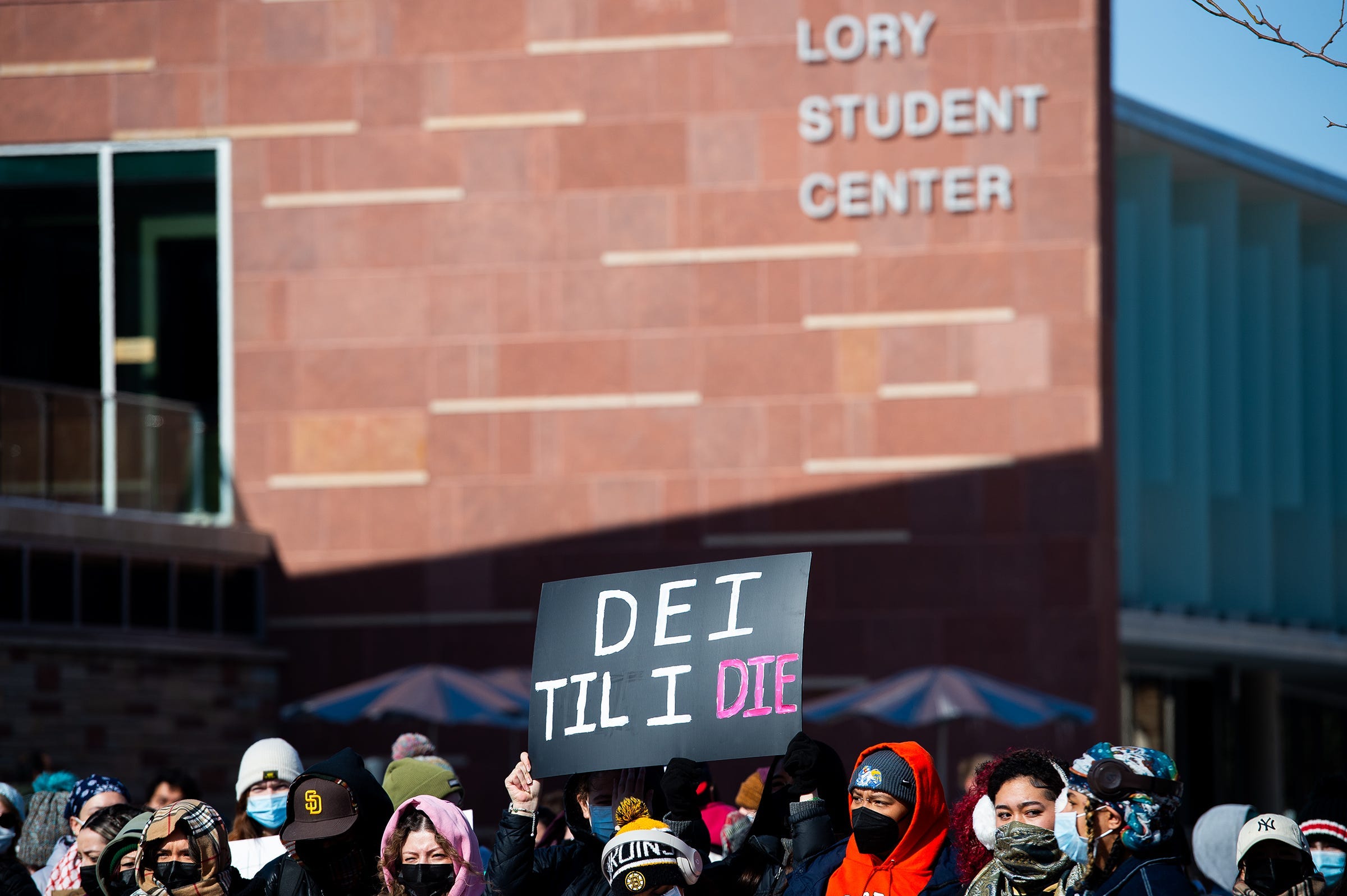 DEI, diversity, equity, inclusion, Donald Trump, education, antisemitism, free speech, Barnard College, Stanford University, protests, Israel, Hamas, Columbia University, demonstrators, wealth tax, Lawrence Summers, Kyle Duncan, Ohio State University, Goldwater Institute, Tirien Steinbach, diversity initiatives, campus protests, political intolerance
