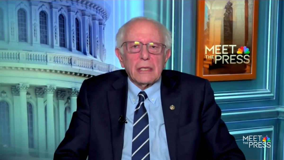 Bernie Sanders, James Carville, Democratic Party, Republican Party, political strategy, strategic retreat, Kristen Welker, Meet the Press, income inequality, wealth inequality, childhood poverty, Trump administration, Abraham Lincoln, Gettysburg Address, billionaire class, working class, political opposition
