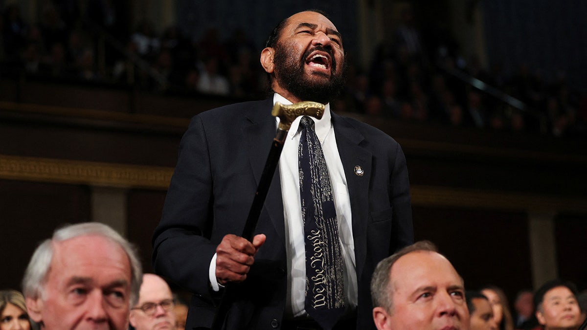 Al Green, Donald Trump, Joint Session of Congress, Mike Johnson, impeachment, Medicaid, Melanie Stansbury, Lance Gooden, decorum, protest, disruptions, Ian Sams, House DOGE subcommittee, mandate
