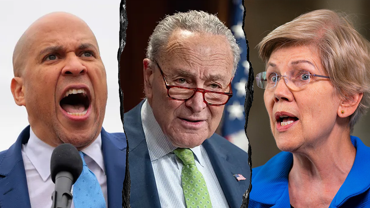 Senate Democrats, Donald Trump, joint address to Congress, Cory Booker, Elizabeth Warren, Chuck Schumer, 