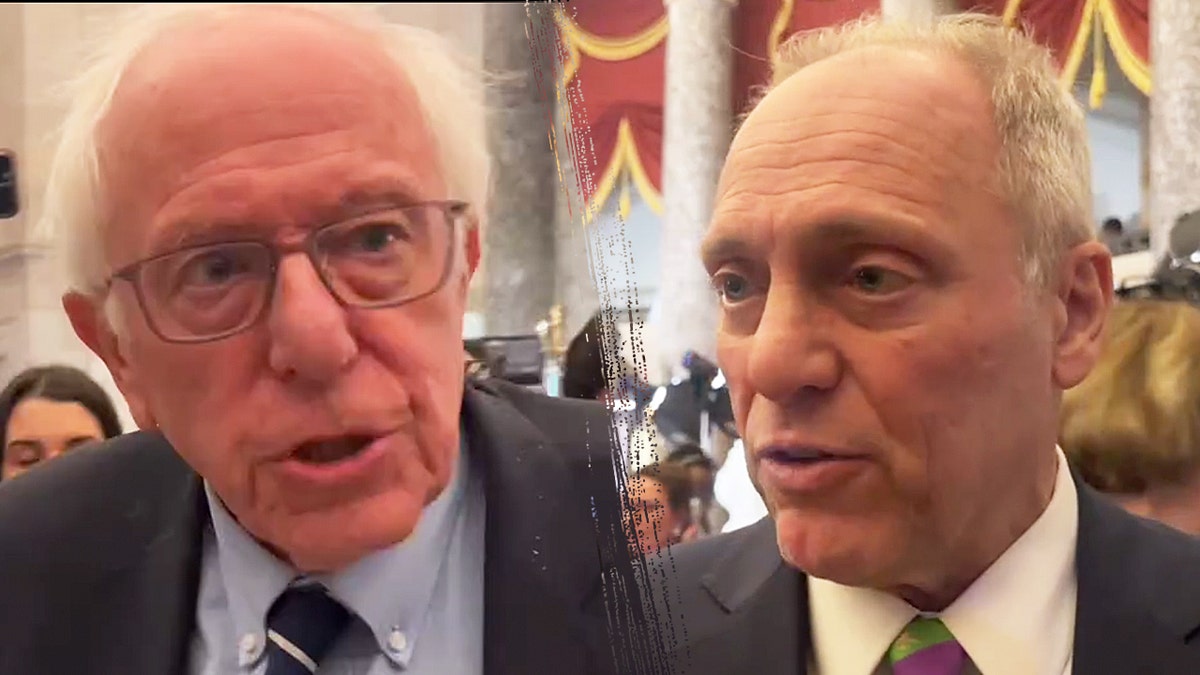 Donald Trump, Joint Address to Congress, Republican reaction, Democratic reaction, Steve Scalise, Ted Cruz, Mike Lee, Lisa Blunt Rochester, DJ Daniel, cancer survivor, Katie Britt, Eric Schmitt, Bernie Sanders, Bernie Moreno, Chris Coons, Mike Collins, Al Green, Mike Johnson, political speech, America is back, congressional address
